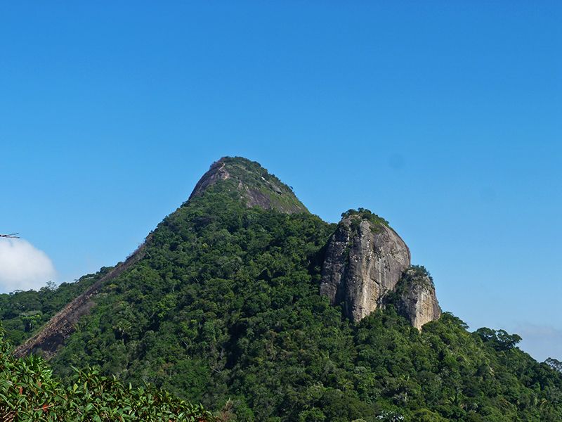 Rio de Janeiro: Tijuca Peak Guided Hike - Following the Trail Features, Including the Rock Staircase