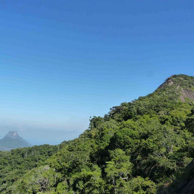 Rio de Janeiro: Tijuca Peak Guided Hike - How the Bilingual Guide Changes the Whole Day