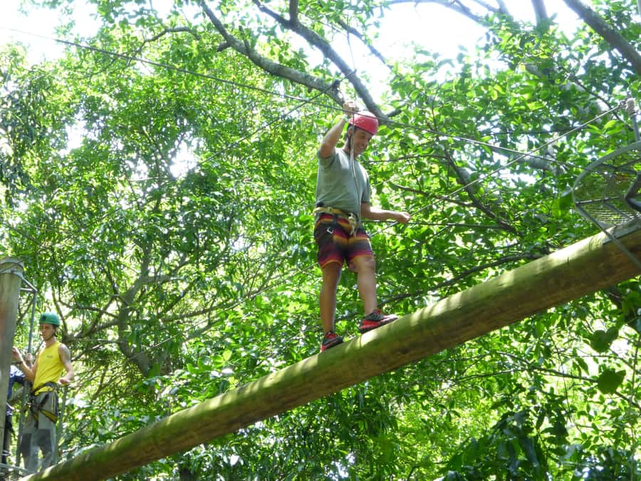 Rio de Janeiro: Zip Lining and Canopy Tree Tour - Key things to know before you go