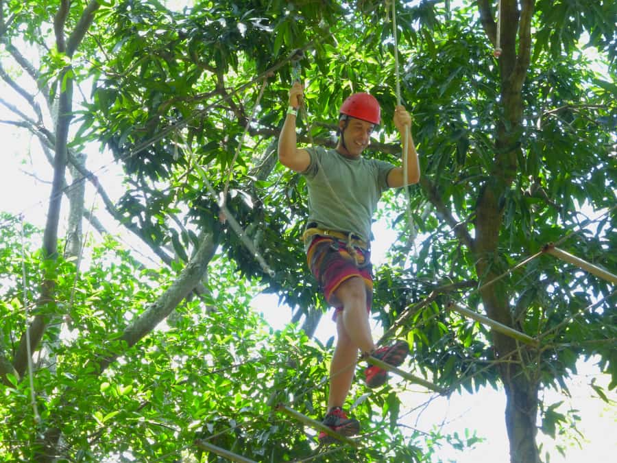 Rio de Janeiro: Zip Lining and Canopy Tree Tour - Rio de Janeiro Zip Lining and Canopy Tree, 3 Hours That Actually Moves