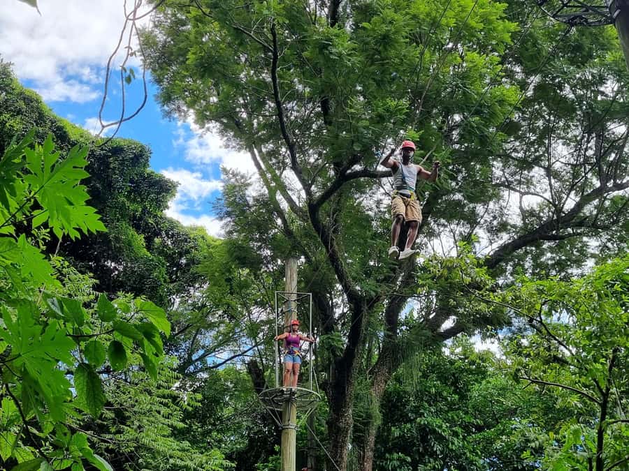Rio de Janeiro: Zip Lining and Canopy Tree Tour - The 1-Hour Hike in Catacumba: Easy Effort, Real Views