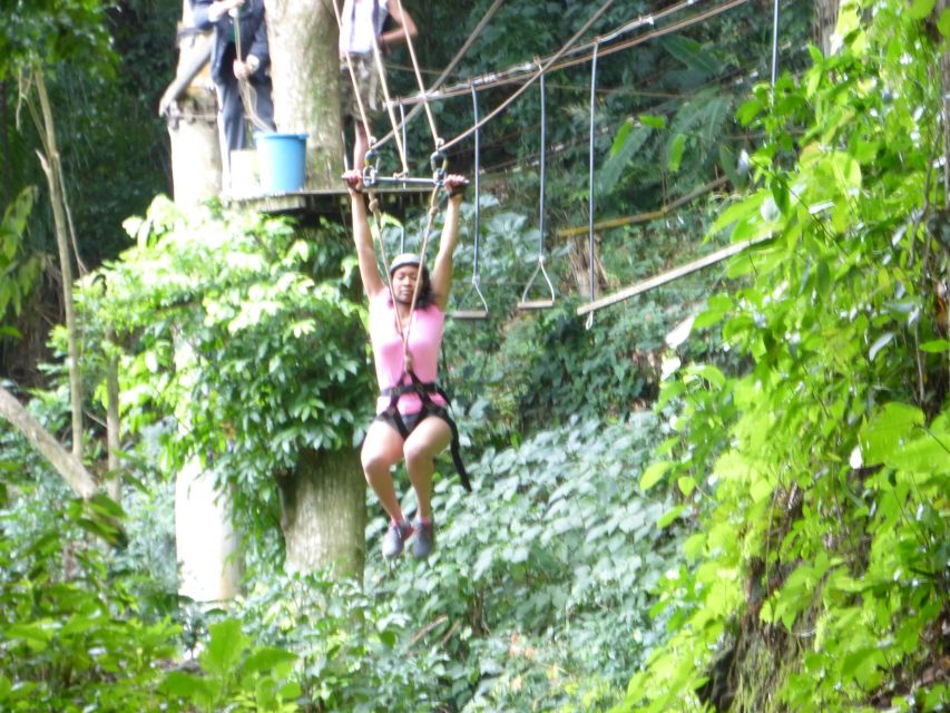 Rio de Janeiro: Zip Lining and Canopy Tree Tour - Zip Line Time: The Main Rush You Came For