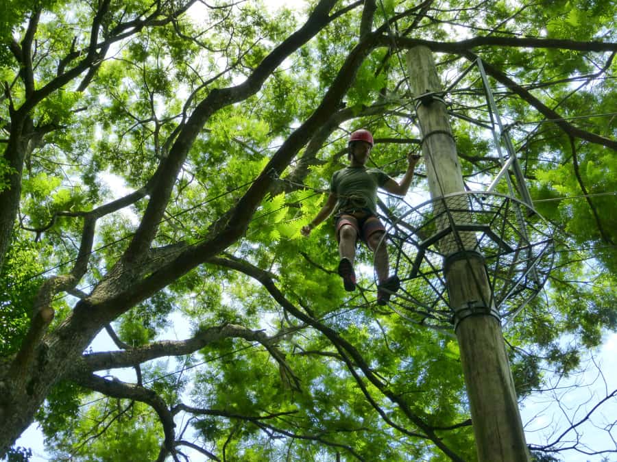 Rio de Janeiro: Zip Lining and Canopy Tree Tour - Camp Activities: How the Tour Fills the In-Between