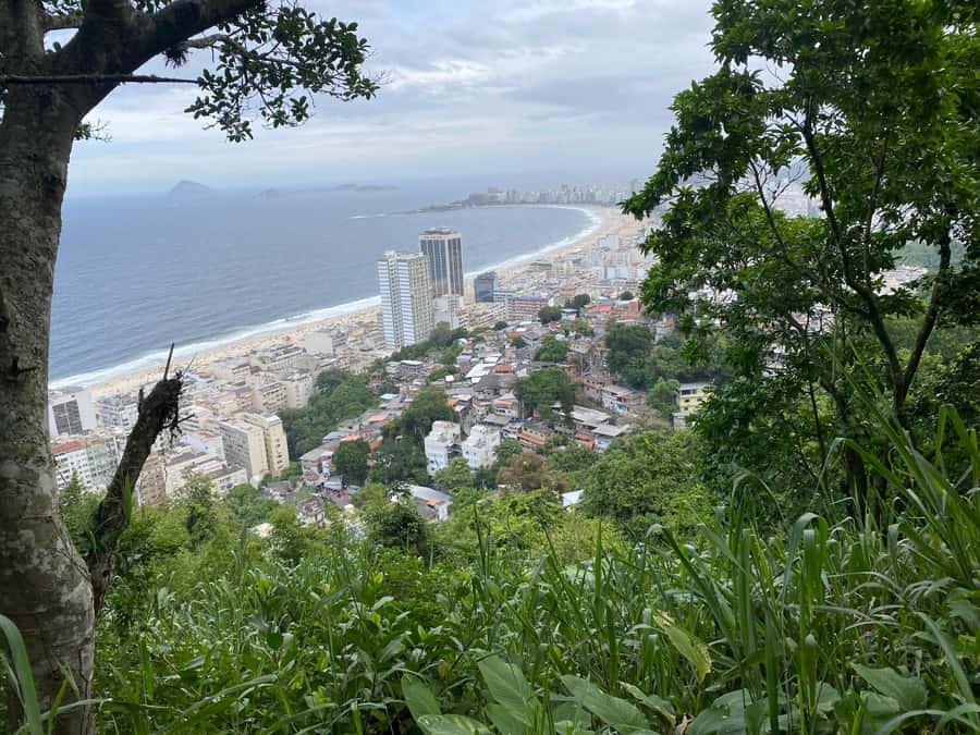 Rio: Favela Tour Imersion in Babilônia and Chapéu Mangueira - Bar do David in Chapéu Mangueira: the meal break that turns into a highlight