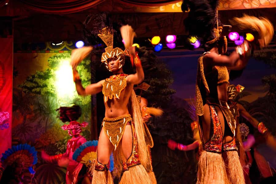 Rio: Ginga Tropical Folkloric Show & Optional Dinner - Ginga Tropical Folkloric Show, Regional Styles You Should Expect