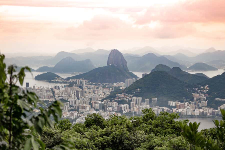 Rio: Half-Day Jeep Tour at Floresta da Tijuca - Key Highlights You Should Actually Care About