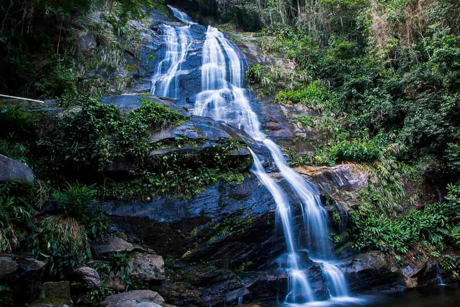 Rio: Half-Day Jeep Tour at Floresta da Tijuca - Who Should Book This Jeep Tour, and Who Might Want Something Else