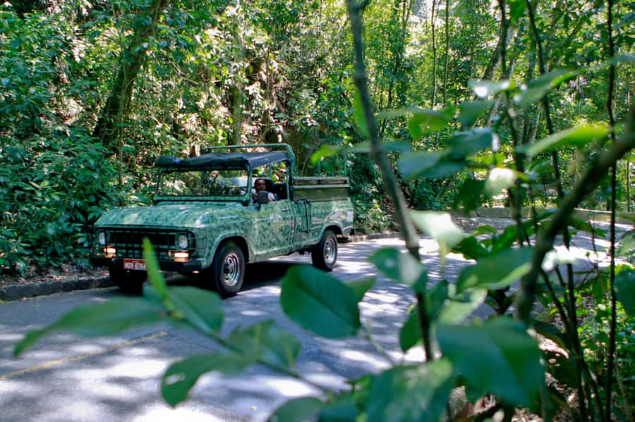 Rio: Half-Day Jeep Tour at Floresta da Tijuca - Tijuca National Park, Fast and Friendly, by Open-Air Military-Style Jeep