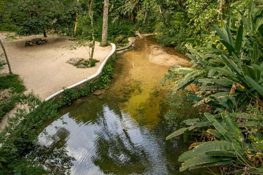 Rio: Half-Day Jeep Tour at Floresta da Tijuca - Capela Mayrink (Built in 1855) and Two Short Trails in the Atlantic Forest