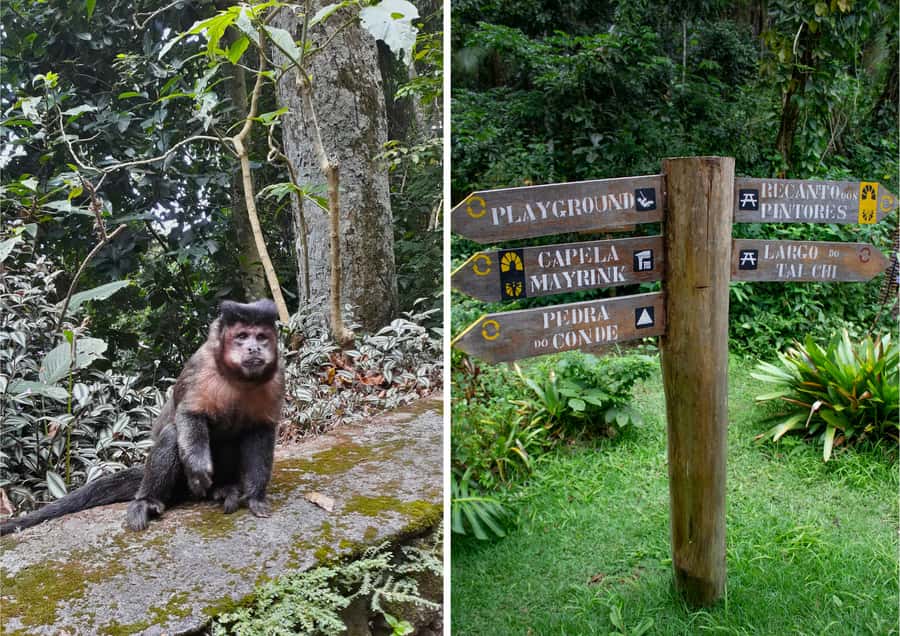 Rio: Half-Day Jeep Tour at Floresta da Tijuca - São Conrado Finish: Hand Gliders and a Scenic Rio Drive Back