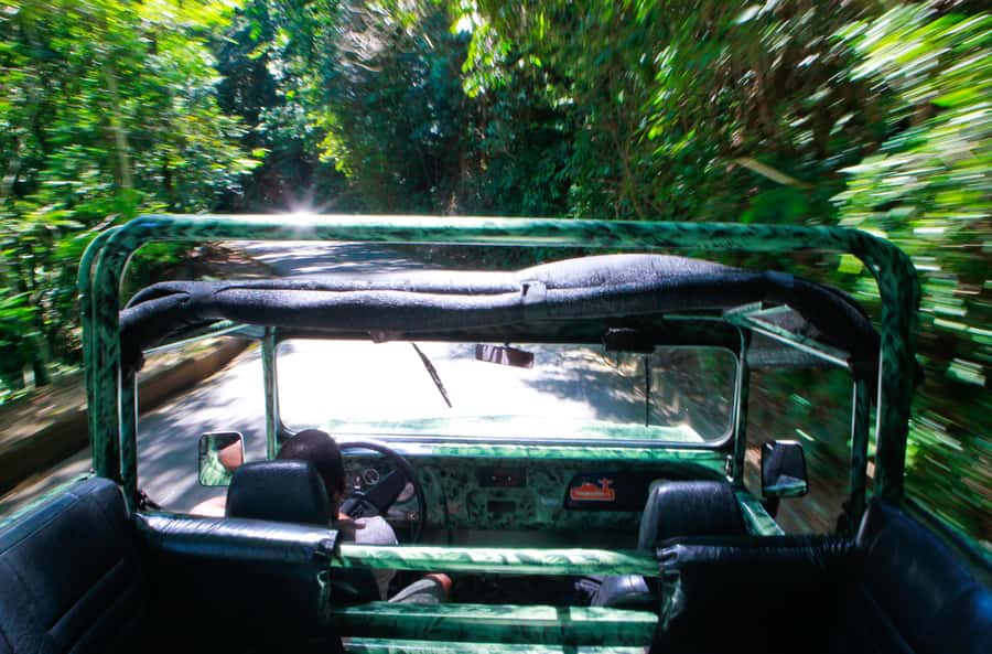 Rio: Half-Day Jeep Tour at Floresta da Tijuca - Price and Value: What $60 Buys You in 4 Hours