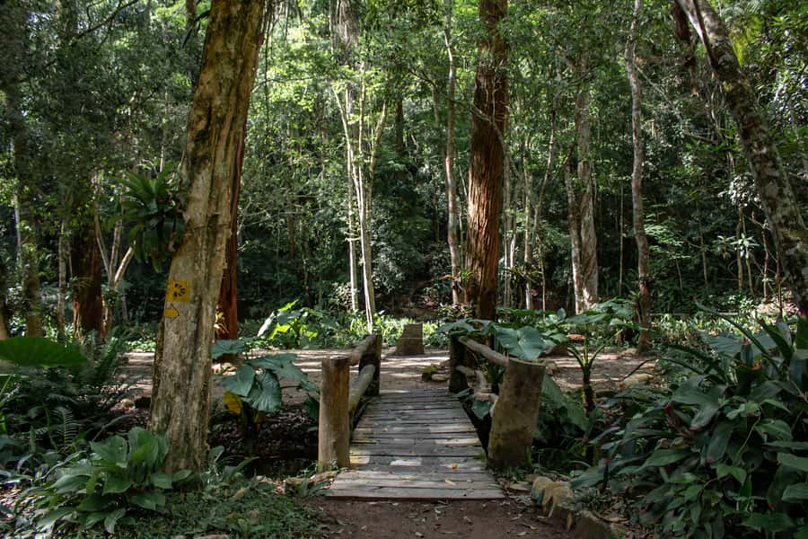 Rio: Half-Day Jeep Tour at Floresta da Tijuca - Small Group Energy, Real Guide Style, and How to Make This Tour Better