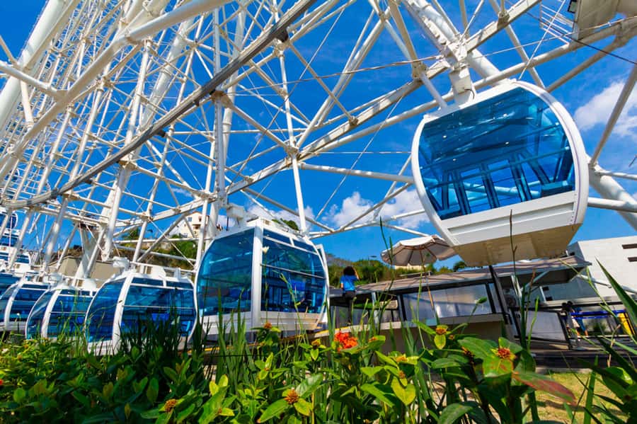 Rio: Museum of Tomorrow, Yup Star & Olympic Boulevard - Porto Maravilha and Boulevard Olímpico: more than a transfer
