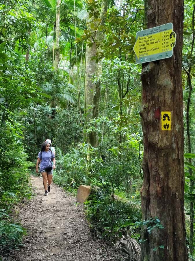 Rio: Private Tour 5 Hours Customized Tour With a Local Guide - Tijuca-style nature time and wildlife viewing options