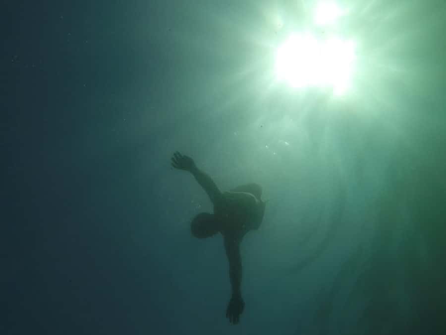 Rio: Snorkel & Swim with Turtles Tour at Tijuca Islands - Who should book this Rio snorkeling with turtles tour