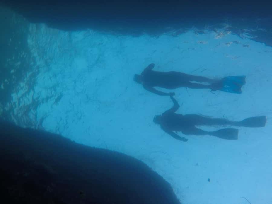 Rio: Snorkel & Swim with Turtles Tour at Tijuca Islands - Why snorkel off Tijuca Islands instead of the usual shoreline
