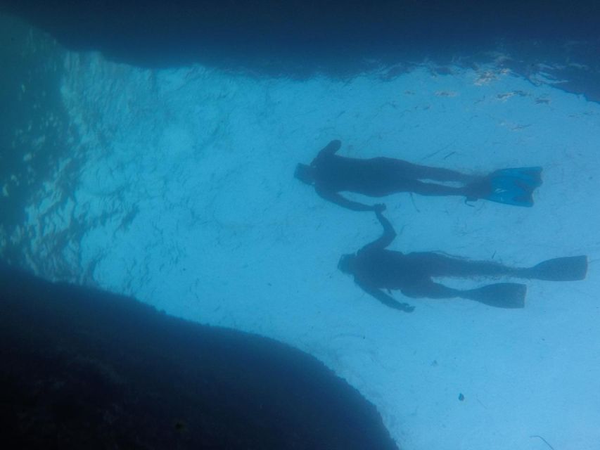 Rio: Snorkel & Swim with Turtles Tour at Tijuca Islands - When wildlife is slow, what you should focus on instead