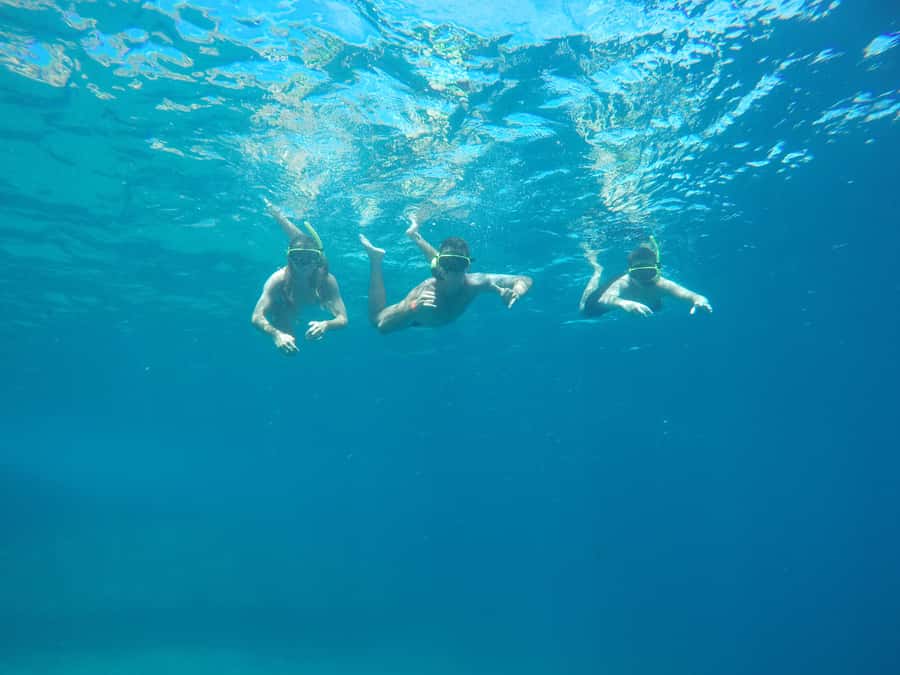 Rio: Snorkel & Swim with Turtles Tour at Tijuca Islands - Getting to the water fast from Ilha da Coroa 2