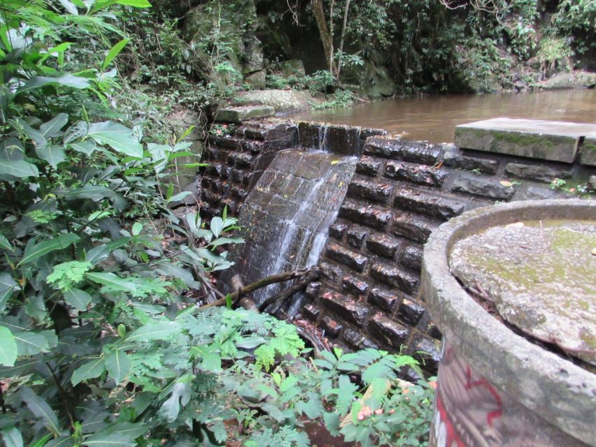 Rio: Tijuca Forest & Horto Waterfalls Circuit Tour - A Half-Day Escape From Rio Beaches in Tijuca National Park