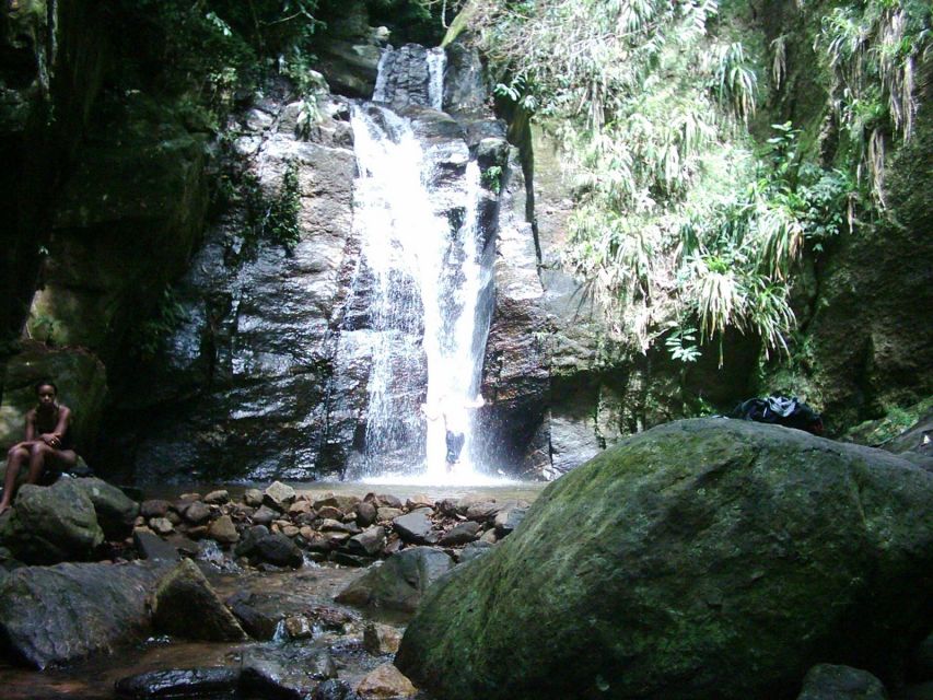Rio: Tijuca Forest & Horto Waterfalls Circuit Tour - Cachoeira do Chuveiro, the Box Waterfall, and How to Plan Your Shower