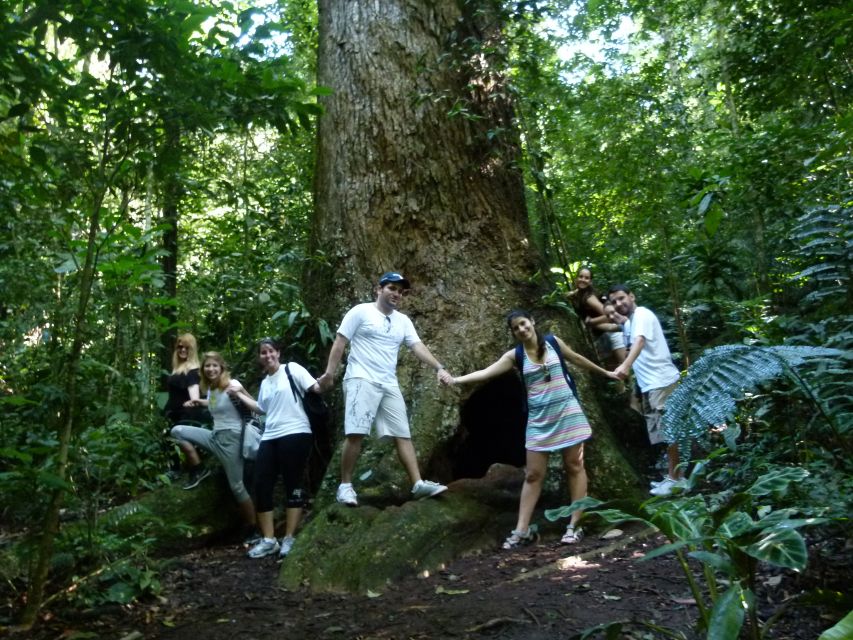 Rio: Tijuca Forest & Horto Waterfalls Circuit Tour - Difficulty Level, What to Pack, and Safety Ground Rules
