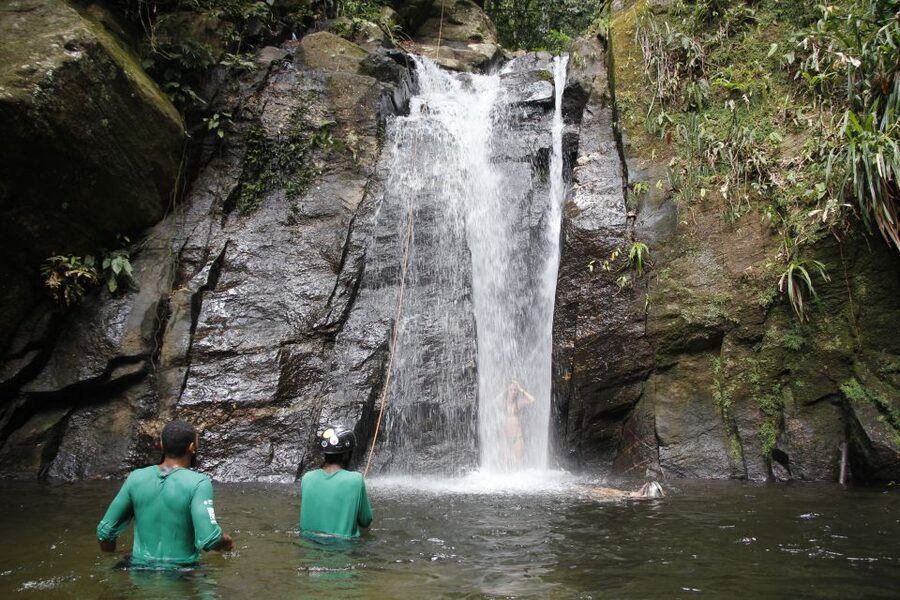 Rio: Tijuca Forest & Horto Waterfalls Circuit Tour - Should You Book the Rio Tijuca Forest and Horto Waterfalls Circuit?