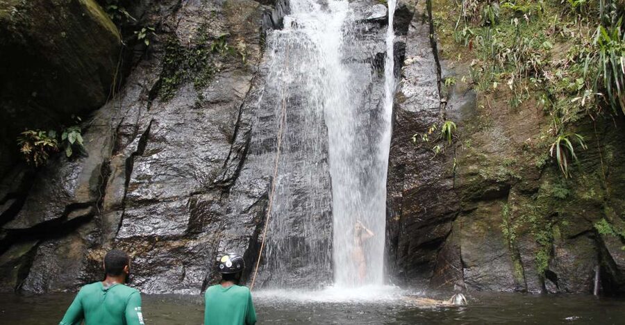 Rio: Tijuca Forest & Horto Waterfalls Circuit Tour - Where You Meet, Pickup Options, and How the Timing Fits