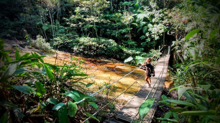 Rio: Tijuca Forest Small Group Hike to Caves and Waterfalls - Tijuca Forest, the hike that turns Rio into a story