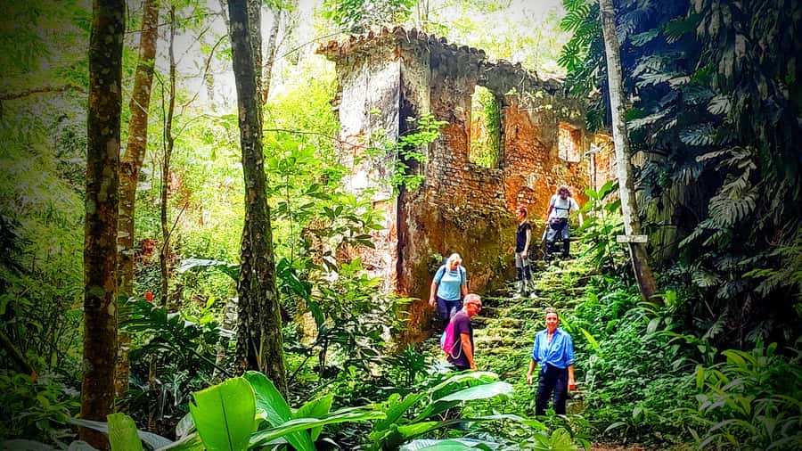 Rio: Tijuca Forest Small Group Hike to Caves and Waterfalls - Pickup and group size, what to expect before you even hike