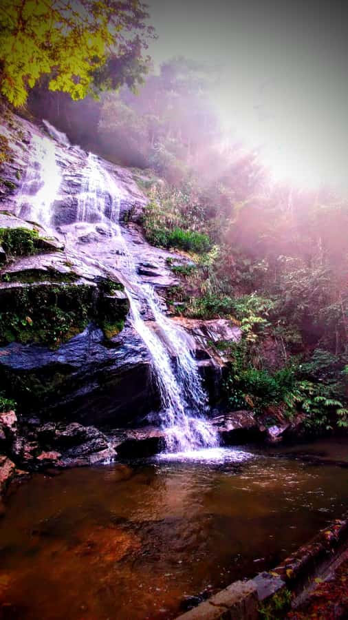 Rio: Tijuca Forest Small Group Hike to Caves and Waterfalls - Hanging bridge moments: Cova da Onça and the gneiss-cave route