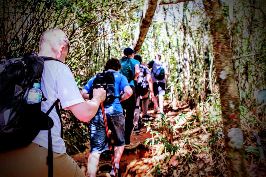Rio: Tijuca Forest Small Group Hike to Caves and Waterfalls - The walk-back circuit: ruins, viewpoints, and Wallace Fountain