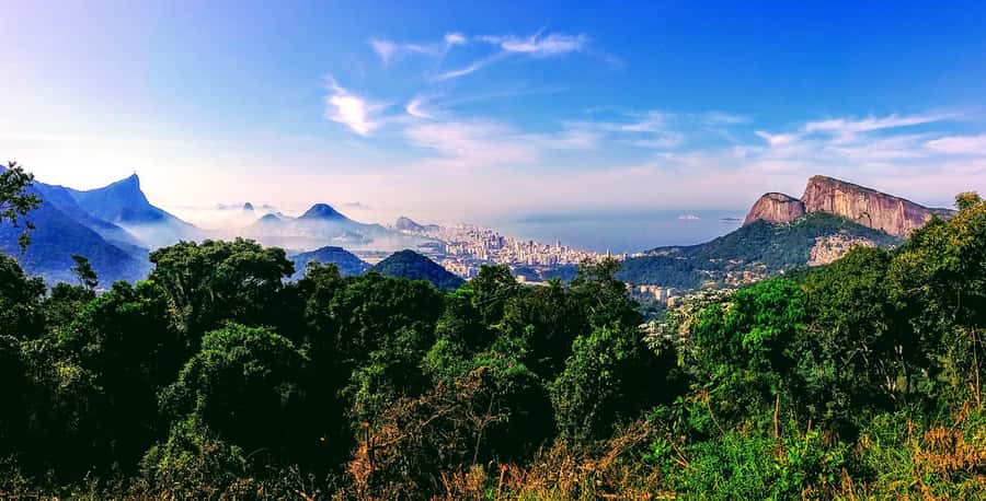Rio: Tijuca National Park Small-Group Hike to Pedra Bonita - The return through Tijuca: nature stops and history talk