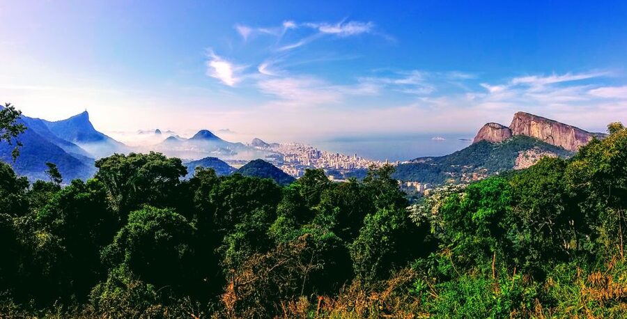 Rio: Tijuca National Park Small-Group Hike to Pedra Bonita - Guide quality is the whole experience