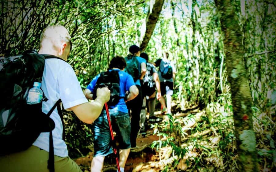 Rio: Tijuca National Park Small-Group Hike to Pedra Bonita - What to bring for comfort, safety, and better photos