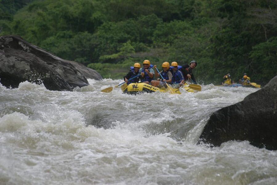 Rio: White Water Rafting Adventure tour in Rio de Janeiro - Wildlife breaks and the Atlantic rainforest setting