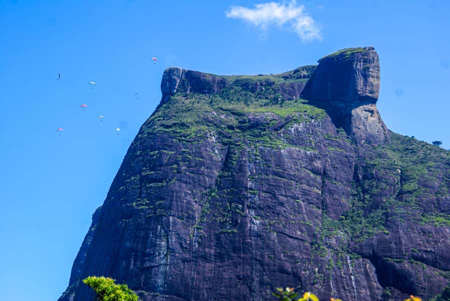 Rocinha Jeep Tour: A Journey into the Soul of the Favela! - Price and Value: What $86 Buys You in Real Terms