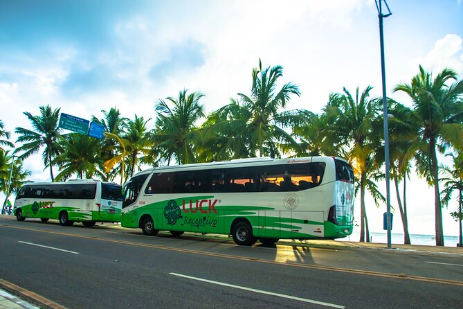 Round trip transfer between Airport and Hotels in Maceió - Palmares Airport Pickup: Where Help Actually Shows Up