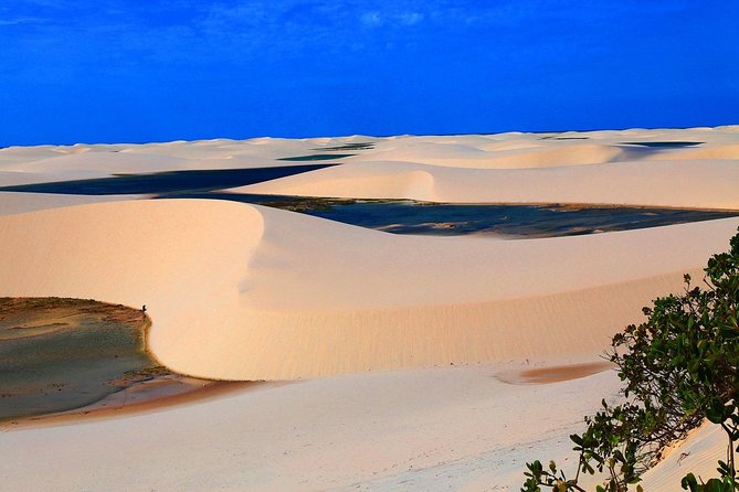 Route of Emotions - Private Multi Day Tour - Route of Emotions: São Luís to Fortaleza in one bold story