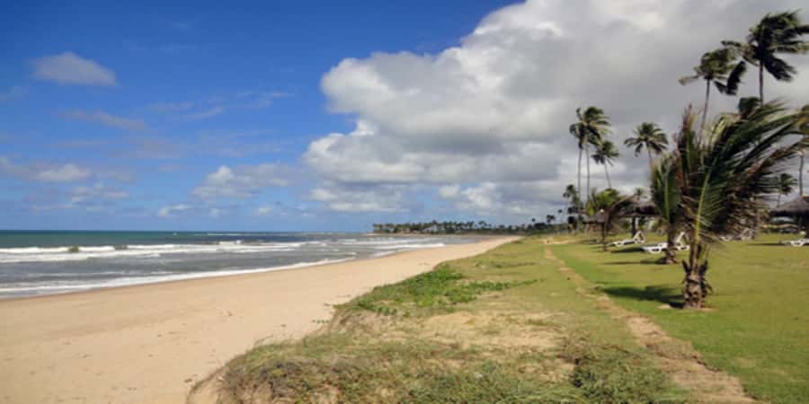 Salvador: Praia Do Forte and Guarajuba Beach Day Trip - Price and Value: Is $43 Worth It for This 8-Hour Plan?