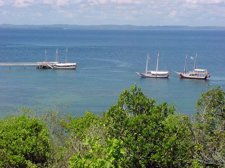 Salvador: Schooner Cruise with Pickup and Itaparica Stop - A Schooner Cruise That Makes the Bay Feel Personal
