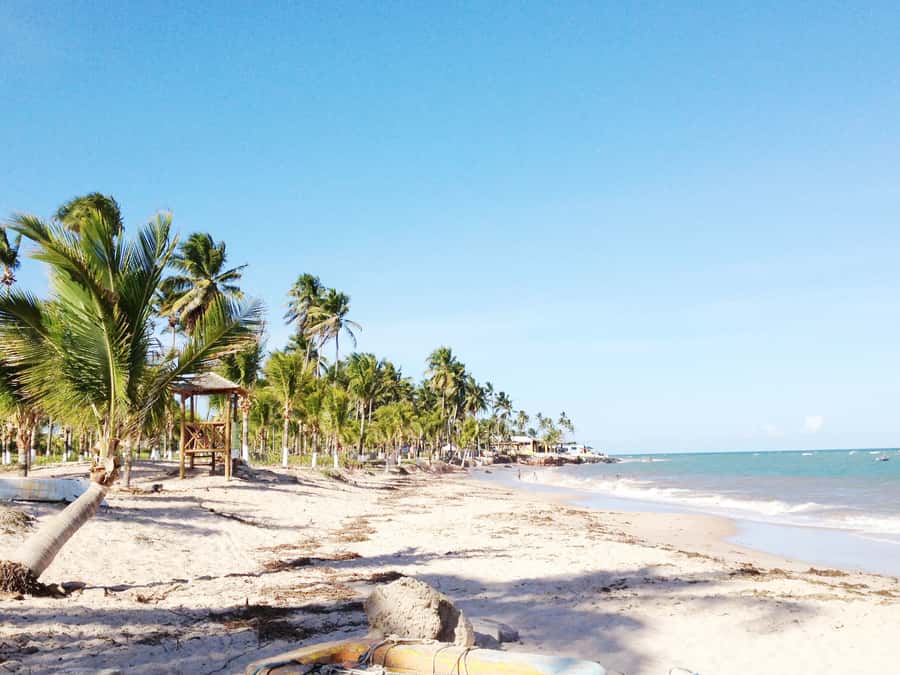 Salvador: Schooner Cruise with Pickup and Itaparica Stop - Sailing Across Baía de Todos os Santos: The Big Views Part