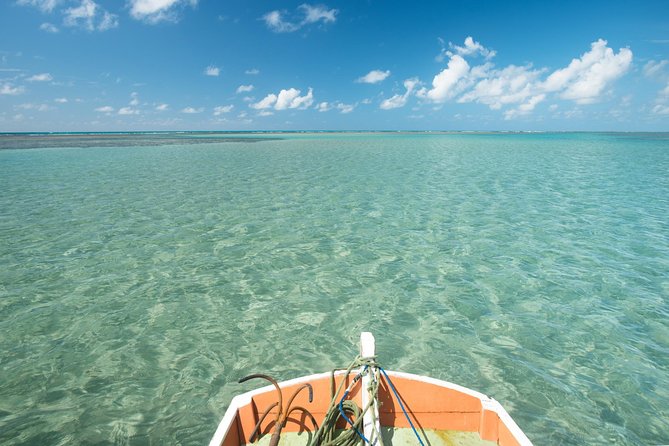 São Miguel dos Milagres Tour from Maragogi with Costazul Turismo - Key highlights before you go