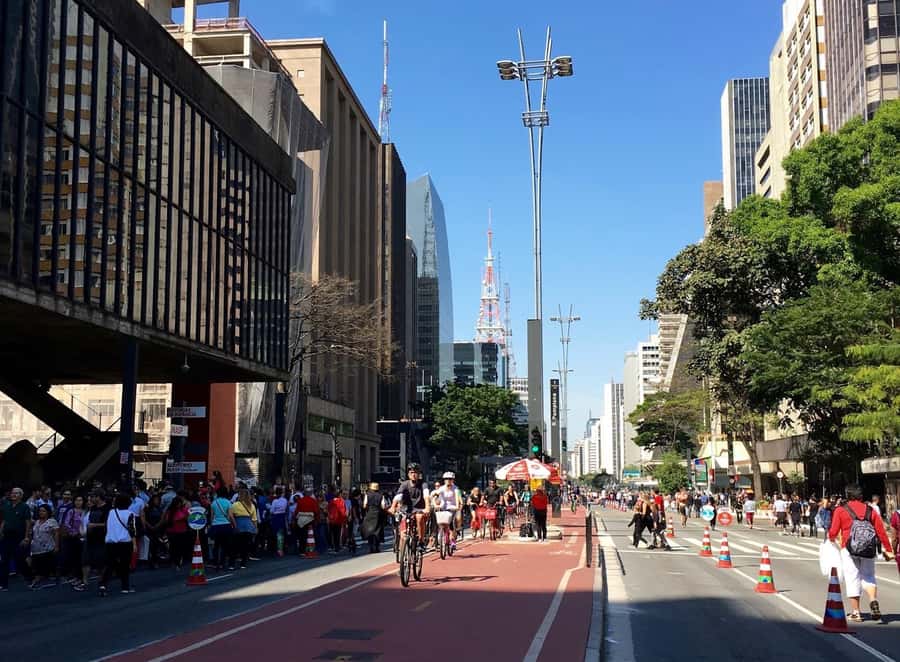 São Paulo: 5hr City Tour With Fruit Tasting - Ibirapuera Park, Monument to the Flags, and That Time-Travel Museum Stop