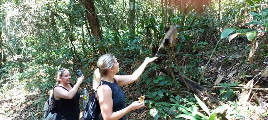 São Paulo: Atlantic Forest Hike in Jaraguá Park with Picnic - Private, Bilingual Guides That Turn the Walk Into a Story