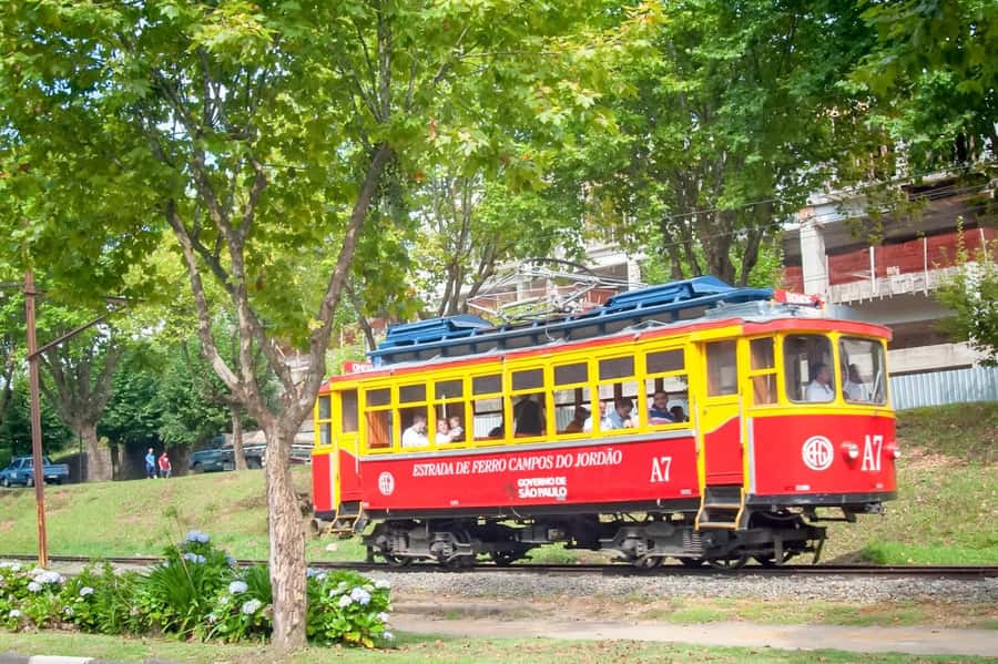 São Paulo: Campos do Jordão Guided Tour - How the long drive shapes your day