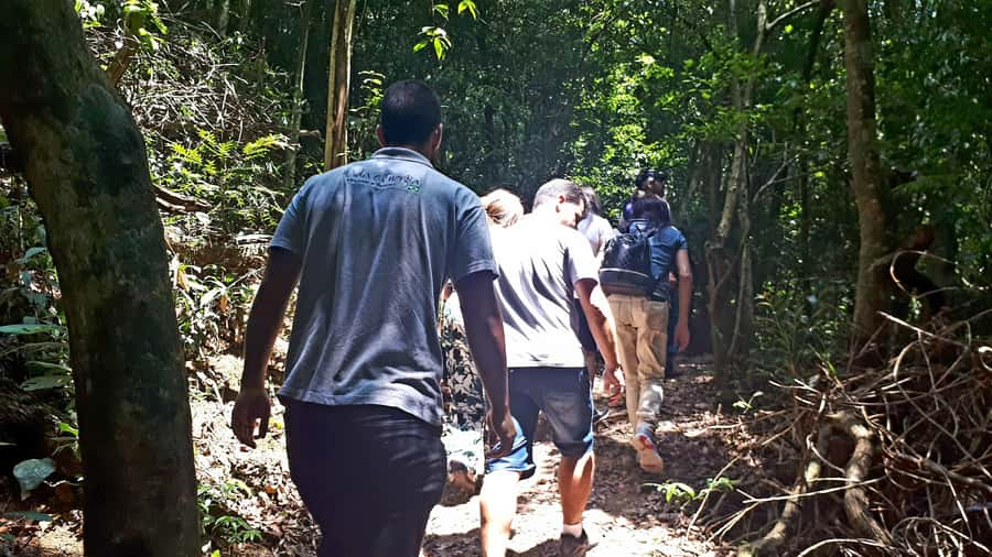 São Paulo: Cantareira Natural Park Guided Rainforest Hike - Waterfall Trail: Engordador River crossings and two bath moments