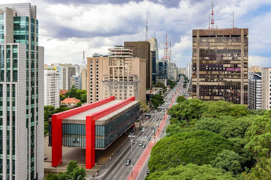 São Paulo City: 5-Hour Private Tour - Ibirapuera Park: The City’s Modern-Modern Pause