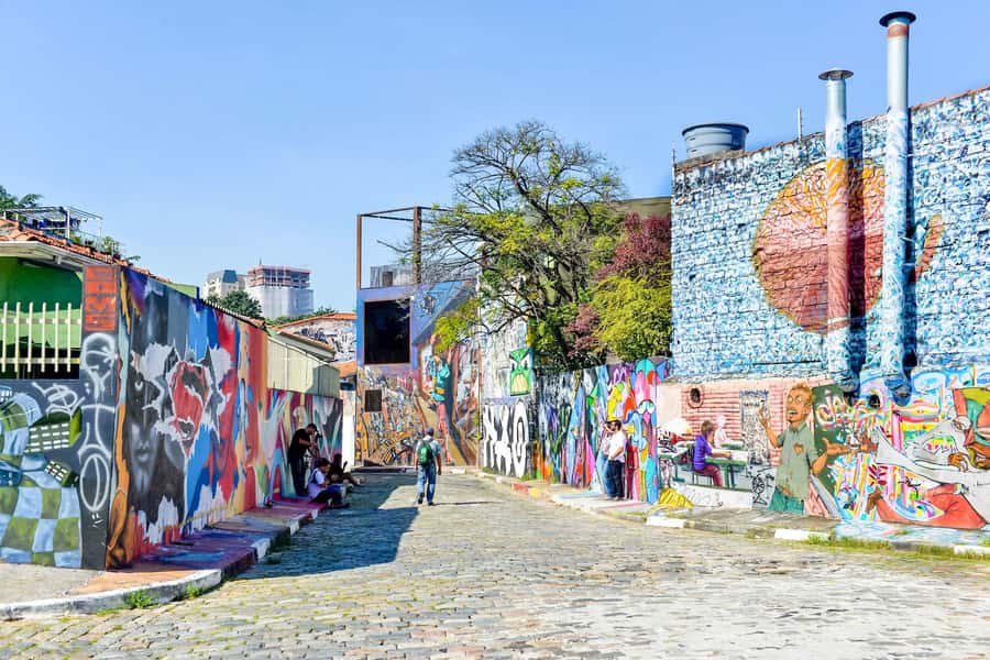 São Paulo City: 5-Hour Private Tour - MAC USP and the Art-Student Energy