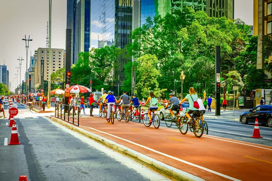São Paulo City: 5-Hour Private Tour - Liberdade: Japanese Culture in São Paulo’s Everyday Life