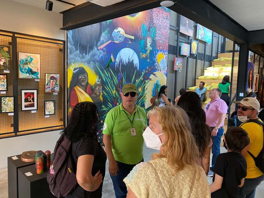 São Paulo: Classic Half-Day Private Sightseeing Guided Tour - Paulista Avenue, Jardins, and Oscar Freire for shopping time